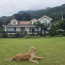 학하복용서로1 네이버블로그
