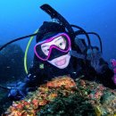 칠십리로 | 제주도스쿠버다이빙 버블탱크에서 서귀포펀다이빙 6회 후기 섶섬 범섬 문섬 다이빙 포인트