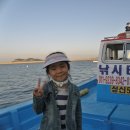 꿈꾸는바닷고기