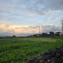 몸냥스테이 이미지