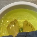 브이아이피아로마 이미지