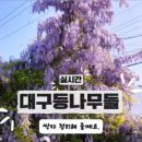 세천로3길 네이버블로그