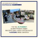 일신매화 이미지