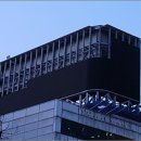 new 트렌드 이미지메이킹(5~6월/7주) | &#34;북극곰을 지켜주세요&#34; 디지털 조선 라운드형 LED 전광판 아나몰픽 3D영상 제작후기