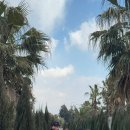 제주게스트하우스스테이튠 이미지