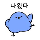 24 에스티(st)