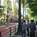 화양초교 이미지