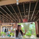 에덴커텐 | 보홀 체험다이빙, 펀다이빙 - 나팔링, 돌조비치, 에덴다이브에서 총 3회 다이빙 후기