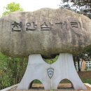 천안대로 이미지