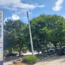 숭림산태봉골 이미지