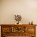 그린몽키 이미지