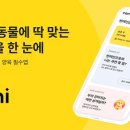 디지탈솔루션 이미지