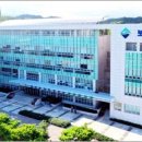 보성마트 정육점 이미지