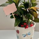 서울상경초등학교 이미지