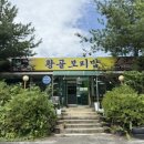 황골보리밥