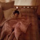 양지파인글램핑 | 경기도글램핑-양지파인글램핑 후기