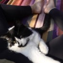 썬프러스 이미지