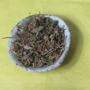 도제한의원 이미지