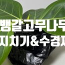신영플라스틱 이미지