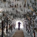 잠실역 9번출구 공원 이미지