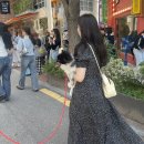 [OOTD] New 원피스 솔직후기, 대공개! <b>리얼코코</b>????