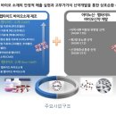 애니젠-정말 낮은 주가. 일 낼 종목을 미리 공개 이미지