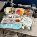 035-1 | [Cancun/칸쿤신혼여행] 1. ICN-ATL KE035 이코노미 | ATL-CUN DL0601편 이용후기 | 애틀란타 공항 경유...