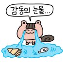 노브랜드버거충남도청점 이미지