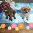 맹구와 땡칠이 이미지