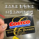 코스트코 회원취소, 다운그레이드 직접 해봤다! 코스트코연회비 정보까지 정리
