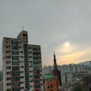 엘지마트 티스토리