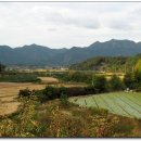 선암지맥 1구간 사금령-매봉-두만재-매봉산-한티재-뱀산-선암산-상곡지 이미지