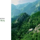 풍안 이미지