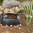 항아리농장 이미지