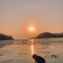 자월도펜션민박 | [인천 섬 여행 추천; 자월도 펜션/민박 후기] 자월도를 알차게 즐길 수 있는 곳_자월도 로뎀하우스펜션
