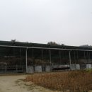고기마트하누유통