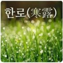 오늘은 꽃단장 이미지