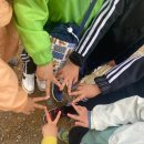 [+만5세] 숲 체험: 동고비 생태학교 우면산 생태공원 수업 후기 유아 자연 숲체험