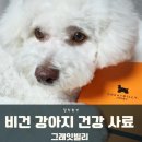 비건 강아지 다이어트 사료 그래잇빌리 티에리 에디션 후기