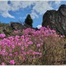 영취산봉수 이미지