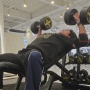 킹덤장어 이미지