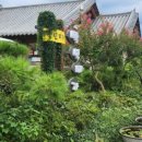 백년미가 (유촌점) 이미지