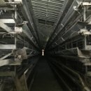 영광목장 1 이미지