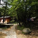 대관령 성황사 및 산신각(강릉관리) | 대관령 성황사 및 산신각 (강릉 유적) [ 大關嶺 城隍祠 및 山神閣 ]