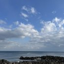 31140-9-70-26 | 임신 17주~26주 | 태동시작, 정밀초음파, 임당검사, 입체초음파(gpt 실물 예측)