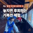 삼도카정비 | 통영 강구안 거북선 아이랑 30분 코스 주차 입장료 동선 정리