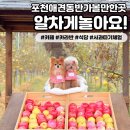 틈바구니(친구네 펜션) | [포천애견동반가볼만한곳] 식당,카페,숙소,여행지 알찬 코스로 소개해드릴게요!