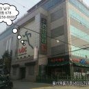 로타리사우나 이미지