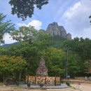 새마을금고 - 대덕구 | 새마을금고