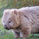 수채화 케이크 | 울산 남구 수채화 무드의 쌀 주문케이크 전문점 아아무 위치, 가격, 내돈내산 후기